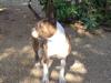  Mia (2011) LOI 1291060