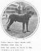 Indian Import (c.1906) [That of the Prince of Whales]