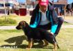 Nasha de K-9