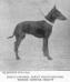 Beswick Beauty [Liuet.- Colonel C.S. Dean]