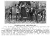 (Portuguese Greyhound)