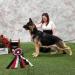 BPISS GCH Windmill's True Colors