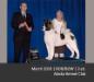 AKC GCH MaJer's Vegas Showgirl O'Ali'I AK Inu