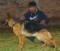 Fairuz de k-9