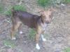 Roscoe Thomason