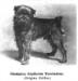 Copthorne Troubador (c.1922)