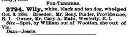 Wily (1884) AKR 002794