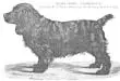 Doc [Mr. A. Clinton Wilmerding's]