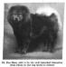 Foo Shan 171474 (~1911)