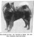 Duchess of Nona (~1911)