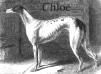 Chloe [Mr TT Lister's]