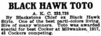 Black Hawk Toto (233728)
