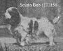 Scioto Bob (171856)