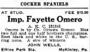 Fayette Omero (231345)