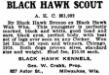 Black Hawk Scout (251032)