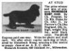 Rhinebeck Romp (068990)