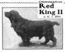 Red King II (095544)
