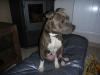  Hatila
