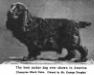 Black Duke [Mr George Douglas']