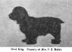 Rival KIng (c.1906)
