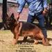 Otawa Real K-9