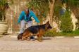 Hugo Vom Guard