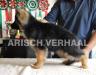 VASTIAN VON ARISCH VERHAAL