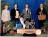 AKC/ASCA/CKC CH Hamilton's Honey In Blue