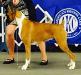  Ensign's Avee's Vermeers Pearl By Design