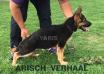 YARIS VON ARISCH VERHAAL