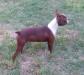  Just Because Little Miss Priss
