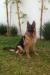 Uba Real K-9