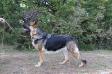  Mishka Von Vacker Engel Long