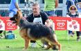 Diablo Vardar Wolf