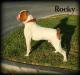  Byfb Rocky