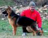 Chicco Vardar Wolf