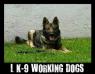 Inka of L K-9 (2010)