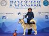 CH.RUS/ JCH.RUS/ CH.CLUB./JCH.CLUB. FLUFFY  HUGS  APMAYA  DZHIN