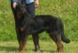 Imperator's Legacy Challenging Life