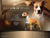 MULTI/GR/CH/JCH MILLION OF STARS DU DOMAINE DE ROUJUS