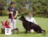 AOE SEL EX GCH Stonewall's Maja's Black Diamond