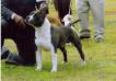 CH MEX GCH MEX Goyaalé (Luna)