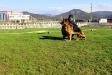 Inter Vardar Wolf