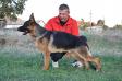 Hugo-Boss Vardar Wolf
