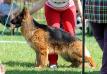 Ch. J.RSLNO, J.Rus, RKF Negus Karil's Emira