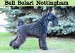 Bell Bolari Nottingham