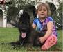 K-Drax de Poder Canino
