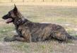  Titan I des Crocs de l'Olympe 2002