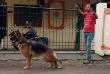 Swapnil's Roxy