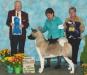 AKC GCH CH BISS 2018 National BISS 2022 National Regional Minda Kawela's Hawaii Five-O